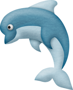 a smiling dolphin